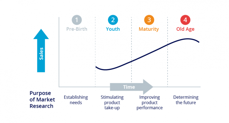 product development research title example